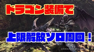 【MHWI】ドラゴン4部位使用版:導きの地上限解放ソロ周回装備を紹介。目指せALL7！