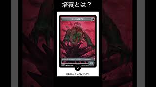 【MTGアリーナ】培養とは？／機械兵団の進軍