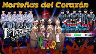 🌞 Conjunto Rio Grande 🔥 La Maquinaria Norteña ✨  Conjunto Agua Azul ❤️ Norteñas Mix 2025💥