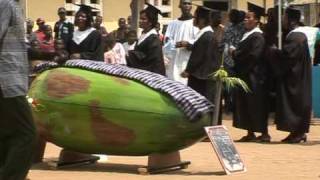 Man-sized coconut: a final resting place in Ghana