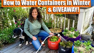 How to Water Winter Containers - for Southern Gardeners (w/ Northern Gardener Tips Too!) \u0026 GIVEAWAY!