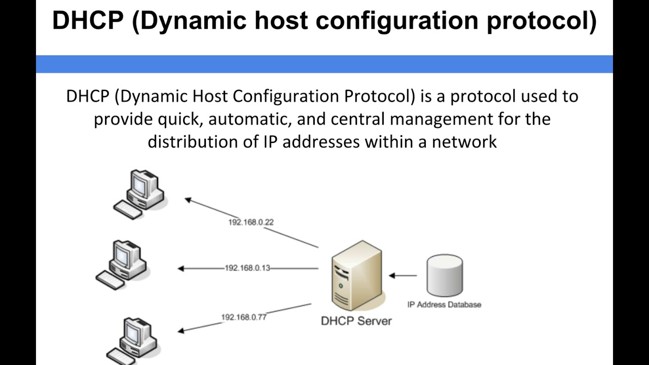 Домен dhcp. DHCP протокол. DHCP протокол конфигурация. DHCP сервер. DHCP пакеты.