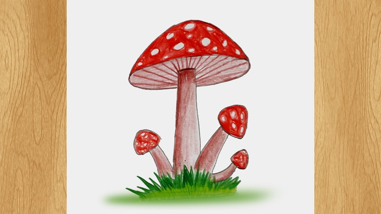 Draw A Mushroom I Mushroom Drawing Tutorial - YouTube