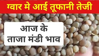 ग्वार के ताजा मंडी भाव I आज ग्वार मे आई बड़ी तेजी gwar mandi price l#guar #guargum