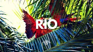 [FREE] J Cole x Schoolboy Q Type beat 2018 "Rio" | Rap/Hip Hop 2018 / Jazz Trap Instrumental