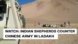 India: Shepherds in Ladakh Confront Chinese PLA Troops Over Grazing Rights, Force Them to Retreat