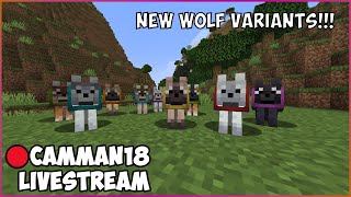 Minecraft But If My Wolves Die I Lose camman18 Full Twitch VOD