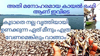 Dry Fish and lake View | മീൻ നല്ല വൃത്തിയായി ഉണക്കി എടുക്കുന്ന സ്ഥലം