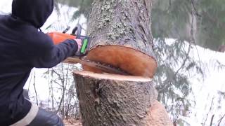 Logging Fail - How NOT to cut down a tree!