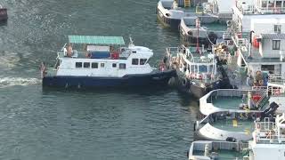 Passenger ship《TSING YI 青衣》穿梭荃灣碼,拖船停泊處 20240830   P3260024