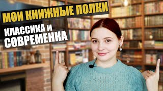 КНИЖНЫЕ ПОЛКИ: ЧАСТЬ 1 (половина)