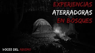 Experiencias Aterradoras en Bosques vol. 3