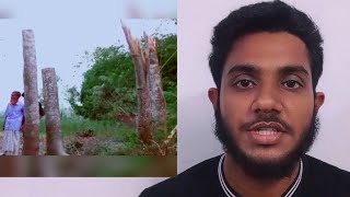 জামালপুরে কাটা গাছ উঠে দাঁড়ালো এই আশ্চর্য কান্ড দেখে ভয়ে পালালো মিস্ত্রি