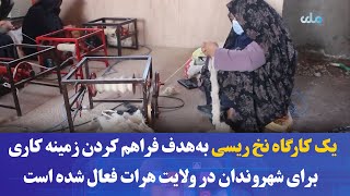 یک کارگاه نخ‌ ریسی به‌هدف فراهم‌ کردن زمینه کاری برای شهروندان در ولایت هرات فعال شده است