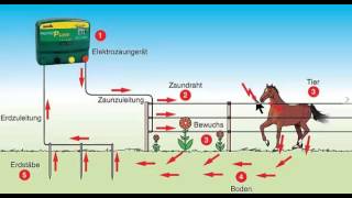 FUNKTIONSWEISE ELEKTROZAUN bzw. WEIDEZAUN