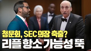 청문회, SEC 의장 축출 움직임? 리플 항소 가능성 뚝 #XRP