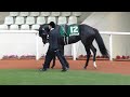 レッドアンシェル　in 　阪神競馬場　at 2017.02.25.　ｱｰﾘﾝﾄﾝｶｯﾌﾟ（ＧⅢ）＃１