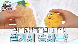 🥒이름값 하는 그것으로🧽 설거지해 봤다🧼