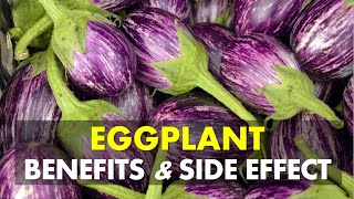 Eggplant Benefits and Side Effects, Is Eggplant Good For You