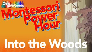 The Montessori Power Hour: Into the Woods