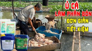 Ủ CÁ LÀM PHÂN BÓN - ĐƠN GIẢN - TIẾT KIỆM.