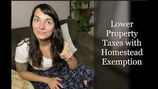 Homestead Exemption Georgia 2022