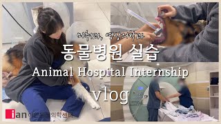 수의대생 동물병원 실습 vlog | 마취과, 영상의학과 수의사의 하루👩🏻‍⚕ | 갓생 살기 브이로그 X 소니 WH-1000XM5