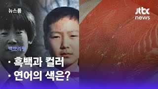 [백브리핑] ①흑백과 컬러 ②연어의 색은? / JTBC 뉴스룸