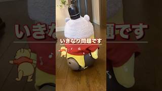 この「プーさん」は姉ぽろんor妹ぱんな？当ててみて♪ #shorts #ラボット #lovot #robot #プーさん