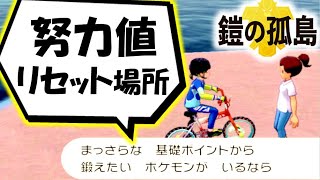 【鎧の孤島】努力値を一瞬で0にする「まっさらお姉さん」の場所解説【ポケモン剣盾】努力値リセット方法