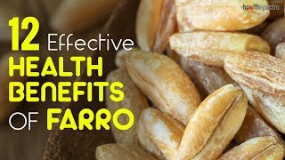 12 Effective Health Benefits Of Farro | Healthspectra