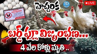 LIVE : BIG BREAKING : Bird Flu Danger Bells : 4 వేల కోళ్లు మృ_తి .. |  iDream News