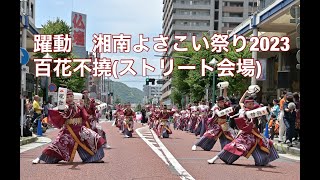 Yakudo Yosakoi躍動/湘南よさこい祭り２０２３（ストリート会場）