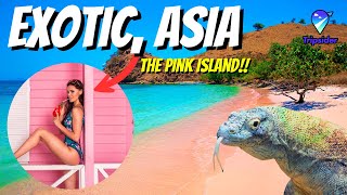 TOP 10 EXCITING EXOTIC TRIP TO ASIA | HIDDEN GEMS | TRAVEL VLOG