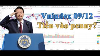 Vnindex 09/12: Tiền vào penny