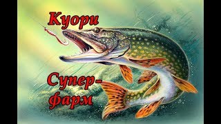 Русская рыбалка 4 шикарный клев на куори супер фарм 200 монет в сутки