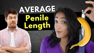 How big is the average penis? (it's not as long as you think!)
