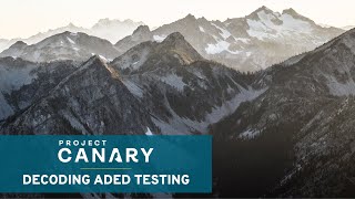 Decoding ADED Testing