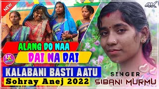 Sari Sohray Video 2022 || Dai Na Dai || Sibani Murmu || Sohrai Sereng Kalabani Soharay Khuli Daran