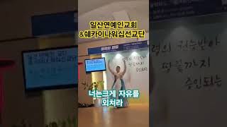 일산연예인교회 \u0026쉐카이나워십선교단 너는 크게 자유를 외쳐라 ~~