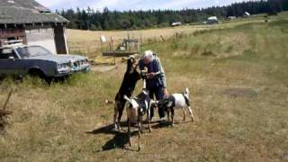 Grandma's farm kids