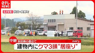 【中継】畳店の作業小屋にクマ3頭が“居座り”　8時間以上“こう着状態”　秋田・美郷町