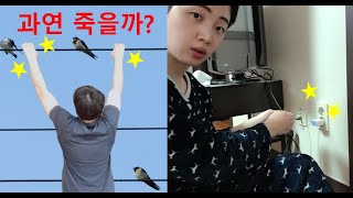 완전 쉬운 감전의 