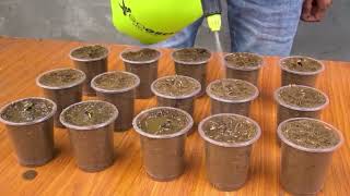 A great way to grow watermelons on the balcony, so that planting is easy and convenient #balconyp...