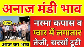 आज का भाव !! अनाज मंडी भाव !! नरमा कपास ग्वार और मूंग में लगातार तेजी, सरसों गिरी !! Mandi bhav