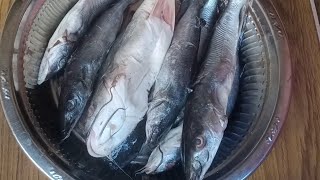 How to clean fishes ( jalla) | జెల్ల చేపలు ఎలా క్లీన్ చెయ్యాలో చూద్దాం