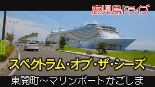 観光客回復の兆し　スペクトラム・オブ・ザ・シーズ　マリンポートかごしま　クルーズ船　鹿児島　おまかせテレビ　2023年8月16日