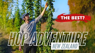 Inside a premier New Zealand hop farm!