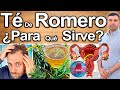 TÉ DE ROMERO PARA TODO - ¿Para Qué Sirve? - Beneficios Para Tu Salud Y Belleza