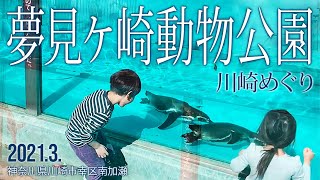 川崎めぐり【夢見ケ崎動物公園】2021.3.神奈川県川崎市幸区南加瀬